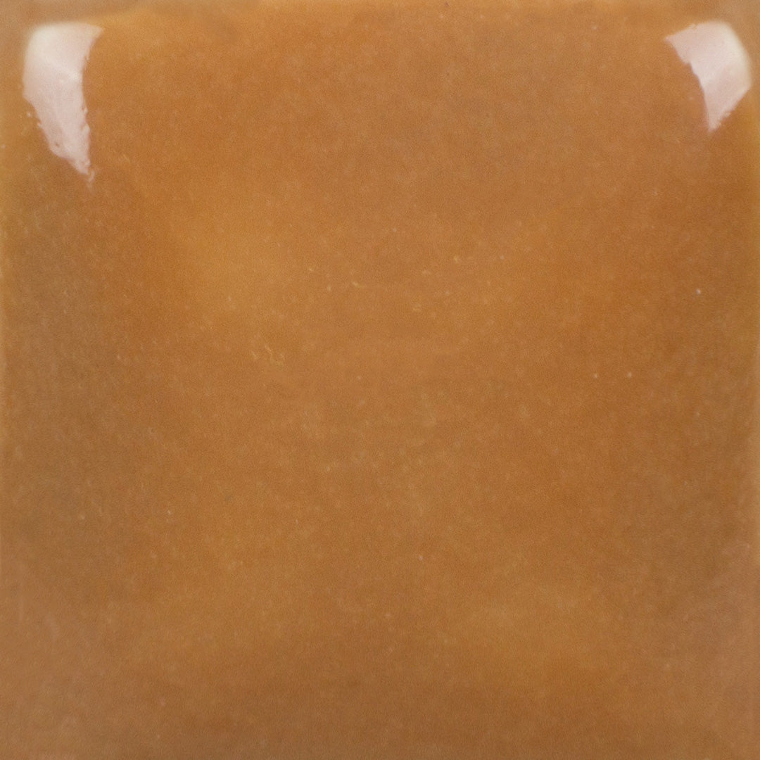 SC 25 Crackerjack Brow