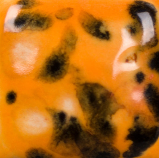 CG 1013 Papaya