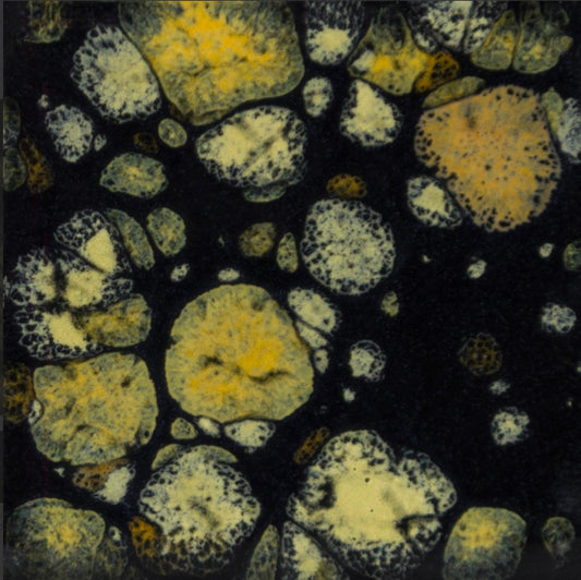 Mayco CG 798 Black Iris (Íris Negra)