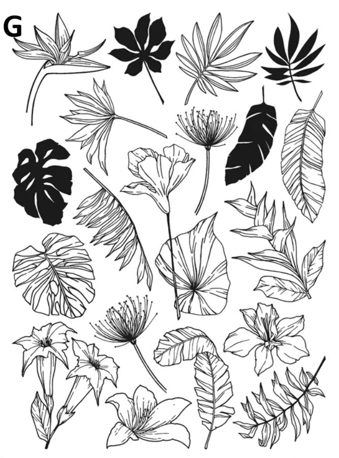 Decalques cerâmicos