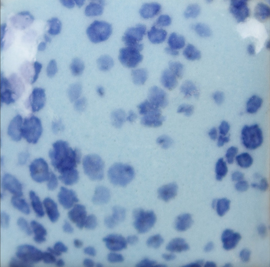 SP 245 Speckled My Blue Heaven (Céu salpicado)