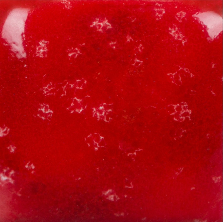 SP 274 Speckled Hot Tamale (Tomate)