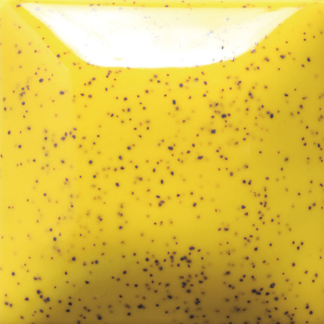 SP 206  Speckled Sunkissed
