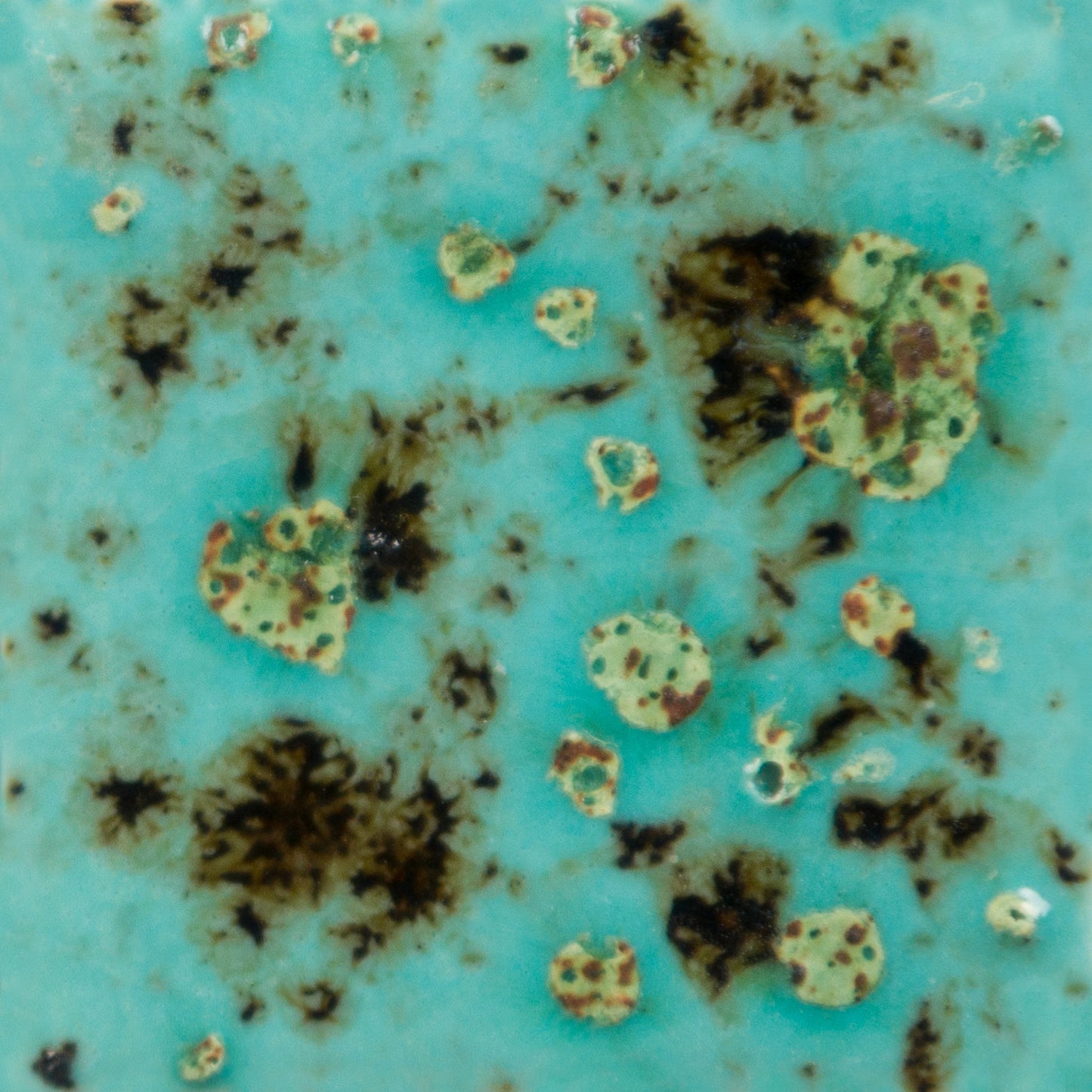 Mayco CG 1008 Blue Guppy